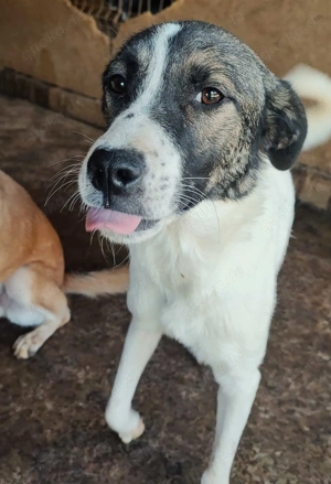 Maya B ca. 49 cm   die Unverwechselbare