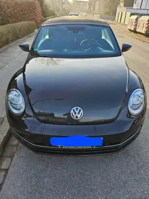 Volkswagen Beetle VW Beetle Cabriolet 1.2TSI BlueMotion Allstar