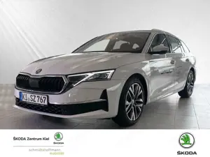 Skoda Octavia 2.0 TDI DPF Selection Klima Einparkhilfe