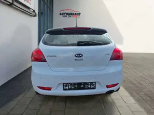 Kia ProCeed / pro_cee'd Spirit*BT*Sport*Klima*TOP* Klima Einparkhilfe Bild 4