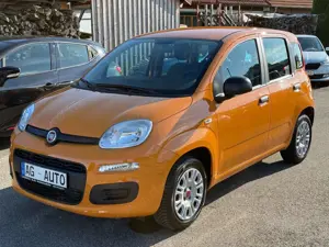Fiat Panda +Garantie Klima TÜV+Service NEU Bild 3