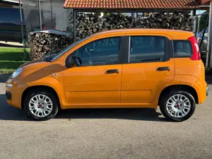 Fiat Panda +Garantie Klima TÜV+Service NEU Bild 4