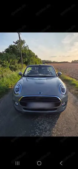 MINI Cooper Cooper Cabrio Bild 3