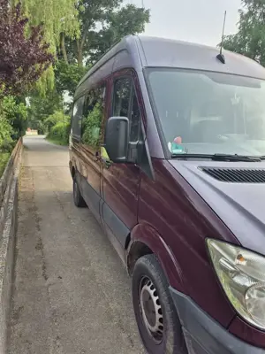 Mercedes-Benz Sprinter 313 CDI (906.631)