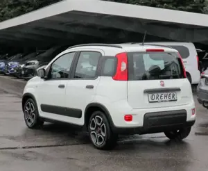 Fiat Panda Panda 1.0 Mild Hybrid Klima/eFH./NSW Bild 5