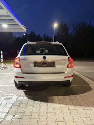 Skoda Octavia Bild 2