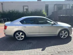 Skoda Octavia 1.8 TSI Style / StdHzg, Xenon, Leder, Navi