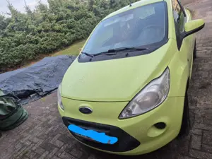 Ford Ka/Ka+ Ka Style