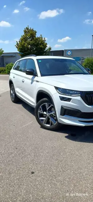 Skoda Kodiaq Kodiaq Diesel 2.0 TDI 4x4 DSG Sportline