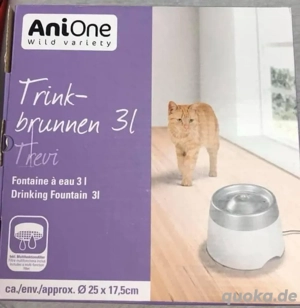 Trinkbrunnen für Katzen