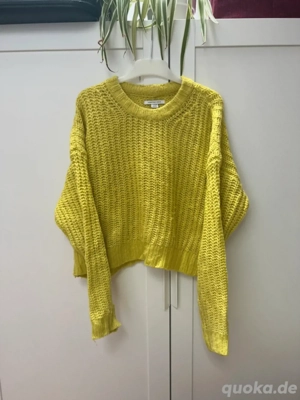 Pulli American Eagle Xs