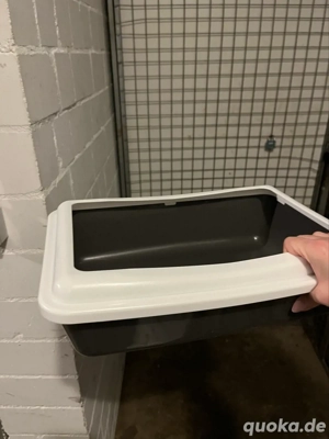 Katzenklo für Kitten