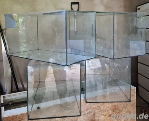 Alte 60Liter Aquarien 