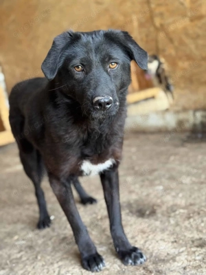 Lisa S ca. 43 cm   geht in der Menge unter