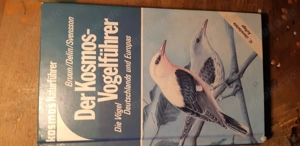Kosmos Vogelführer Bruun Delin Svensson Deutsch Hardcover