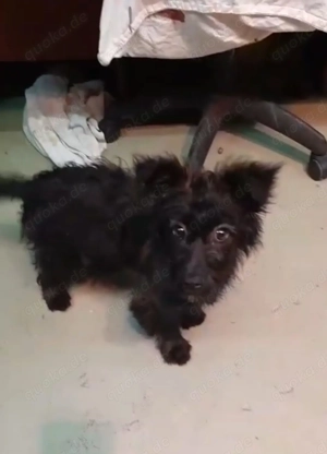 Yutza aktive kleine Abenteurerin sucht Dich