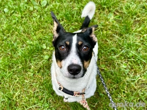 Kleiner Sonnenschein sucht seine Familie