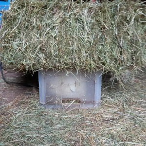 Heuballen, Einzeln ab Scheune für Kleintiere,12 kg, 1.Schnitt