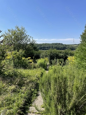 Garten mit Hütte zu verkaufen direkt am Naturschutzgebiet
