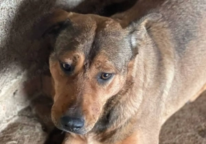 Ella G ca. 50 cm   die Geduldige