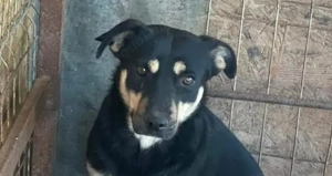 Kyra G ca. 45 cm   braucht Halt