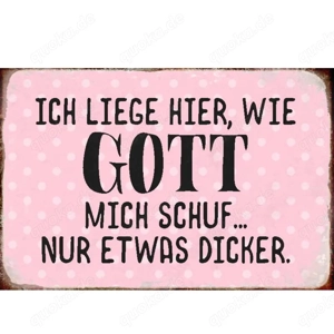 Lustiges Blechschild Ich liege hier wie Gott mich schuf 20x30 cm