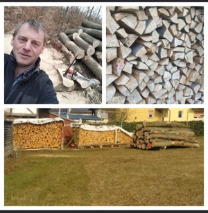 Buchenbrennholz Brennholz  Bild 2