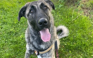 Hubert hat ganz viel Liebe zu verschenken			