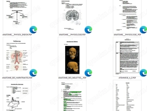 Heilpraktiker-Ausbildung 