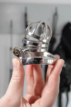 Werde mein Keuschling! Wie lange hältst du es aus?