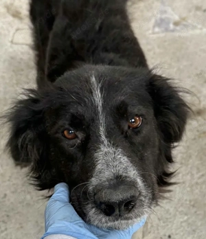 Pina die hübsche große Mama will nun eigene Wege gehen