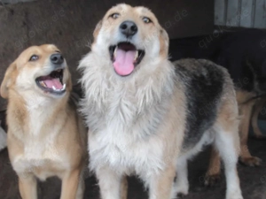 Sissi K ca. 60 cm   die Schmusige