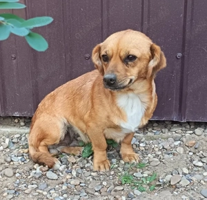 Camilla sucht ein schönes Zuhause