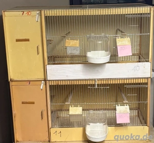 Zuchtboxen Vogelkäfig