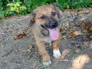 Bülent such 4ever home