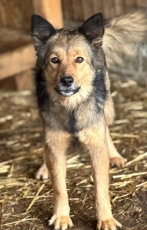 Claire M ca. 45 cm   Die Aufmerksame!