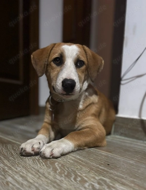 Mica - Mutig im Herzen und clever im Kopf