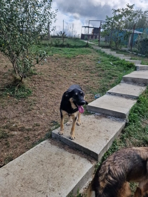 Olivia, nur weil ich schwarz bin finde ich meine Menschen nicht? Bild 2