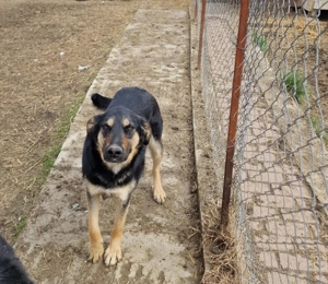 Olivia, nur weil ich schwarz bin finde ich meine Menschen nicht? Bild 1