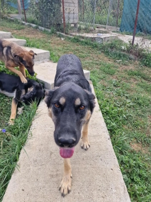 Olivia, nur weil ich schwarz bin finde ich meine Menschen nicht? Bild 6