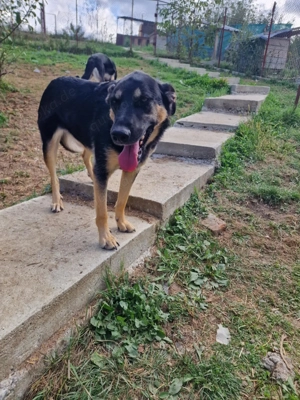 Olivia, nur weil ich schwarz bin finde ich meine Menschen nicht? Bild 4