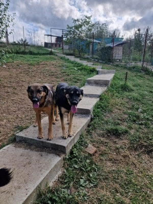 Olivia, nur weil ich schwarz bin finde ich meine Menschen nicht? Bild 5