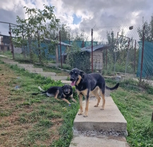 Olivia, nur weil ich schwarz bin finde ich meine Menschen nicht? Bild 7