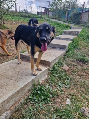 Olivia, nur weil ich schwarz bin finde ich meine Menschen nicht? Bild 3