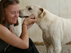 Damocle sucht sein Zuhause (noch auf Sardinien) Bild 3