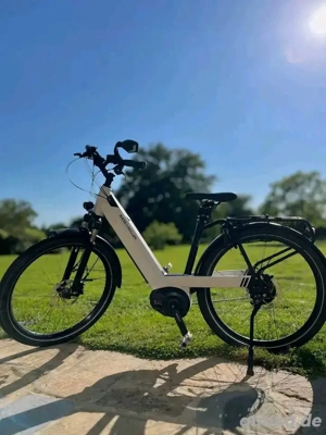 elektronisches Fahrrad 
