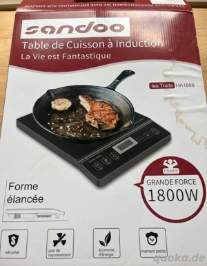 Induktionsfeld groß  Bild 3