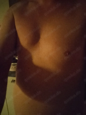 Stute sucht deckhengst wer will mich