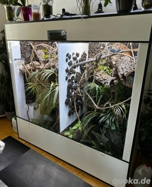 Terrarium 180x80x180