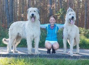 Irische Wolfshund Mix Welpen - IrMas Bild 8